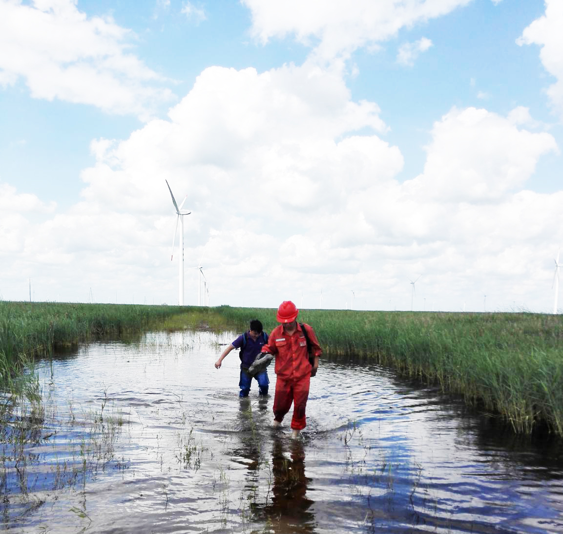 前線華儀|黑龍江大慶市林甸東明園風電場紀實